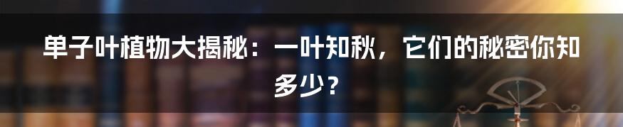 单子叶植物大揭秘：一叶知秋，它们的秘密你知多少？