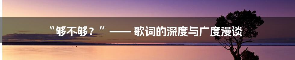 “够不够?”—— 歌词的深度与广度漫谈