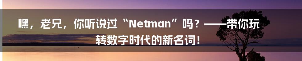嘿,老兄,你听说过“Netman”吗?——带你玩转数字时代的新名词!