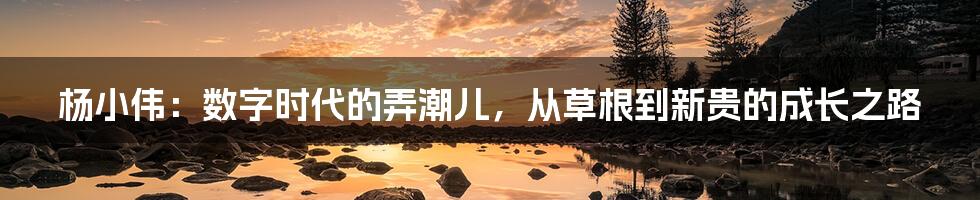 杨小伟：数字时代的弄潮儿，从草根到新贵的成长之路
