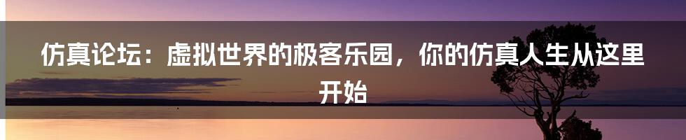 仿真论坛:虚拟世界的极客乐园,你的仿真人生从这里开始