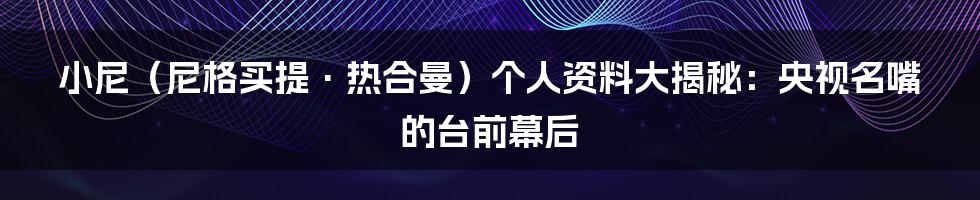 小尼(尼格买提·热合曼)个人资料大揭秘:央视名嘴的台前幕后