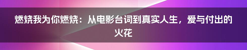 燃烧我为你燃烧：从电影台词到真实人生，爱与付出的火花