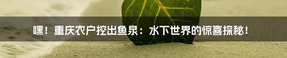 嘿！重庆农户挖出鱼泉：水下世界的惊喜探秘！