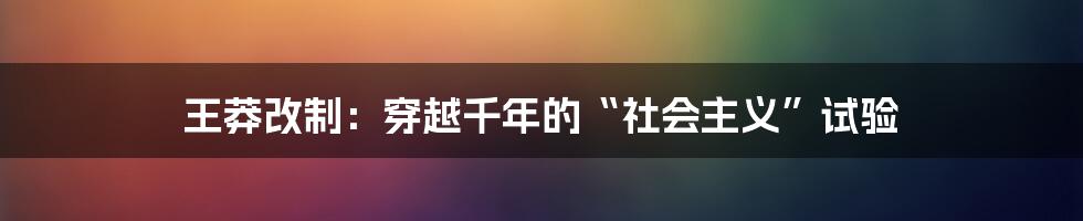 王莽改制:穿越千年的“社会主义”试验