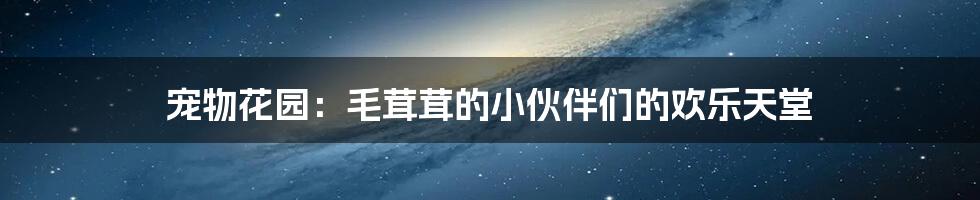 宠物花园:毛茸茸的小伙伴们的欢乐天堂