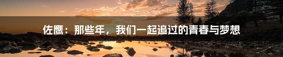 佐鹰:那些年,我们一起追过的青春与梦想