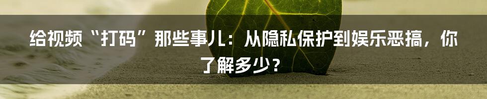 给视频“打码”那些事儿：从隐私保护到娱乐恶搞，你了解多少？