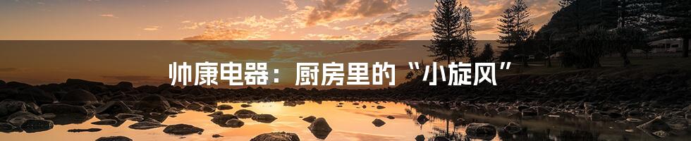 帅康电器：厨房里的“小旋风”