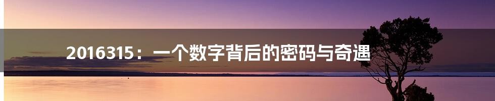 2016315:一个数字背后的密码与奇遇