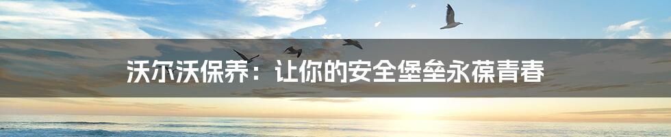 沃尔沃保养：让你的安全堡垒永葆青春