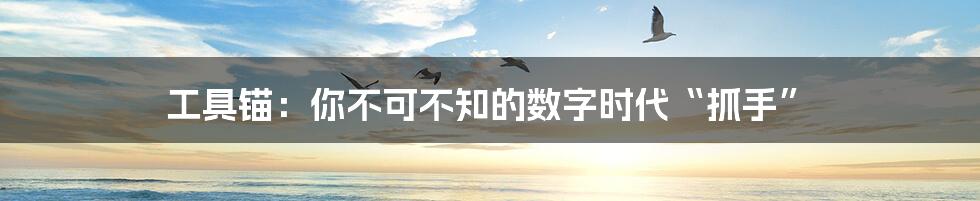 工具锚：你不可不知的数字时代“抓手”