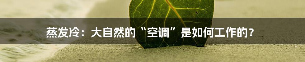 蒸发冷:大自然的“空调”是如何工作的?
