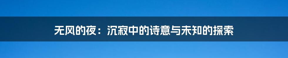 无风的夜：沉寂中的诗意与未知的探索