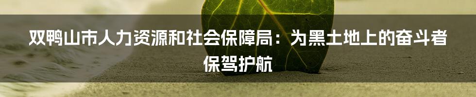 双鸭山市人力资源和社会保障局:为黑土地上的奋斗者保驾护航