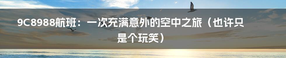 9C8988航班：一次充满意外的空中之旅（也许只是个玩笑）