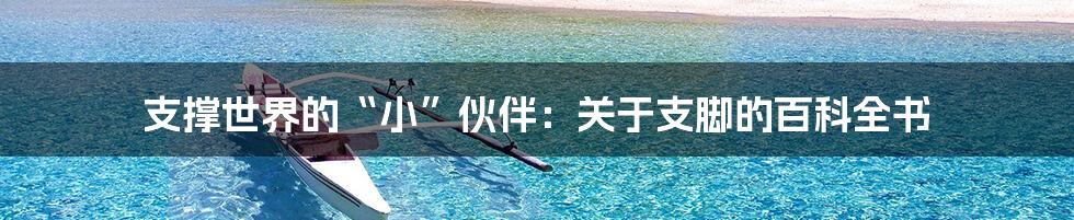 支撑世界的“小”伙伴:关于支脚的百科全书