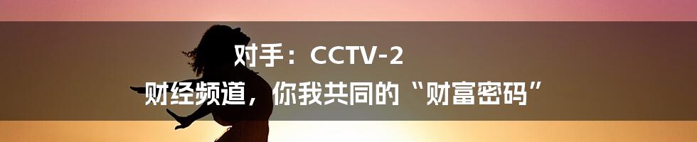 对手:CCTV-2 财经频道,你我共同的“财富密码”