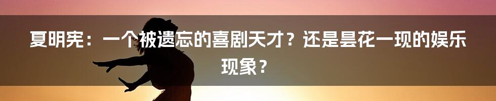 夏明宪：一个被遗忘的喜剧天才？还是昙花一现的娱乐现象？