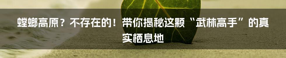 螳螂高原？不存在的！带你揭秘这颗“武林高手”的真实栖息地
