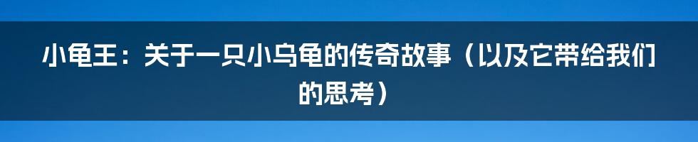 小龟王：关于一只小乌龟的传奇故事（以及它带给我们的思考）