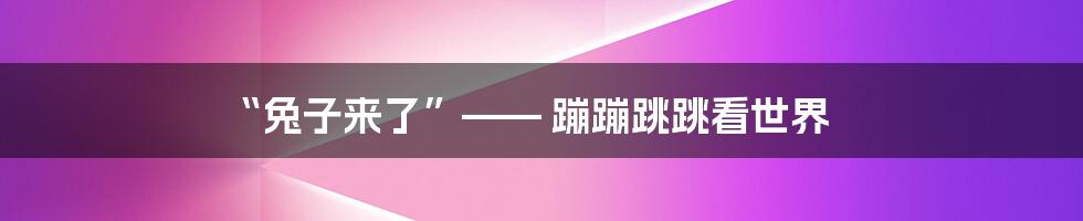 “兔子来了”—— 蹦蹦跳跳看世界