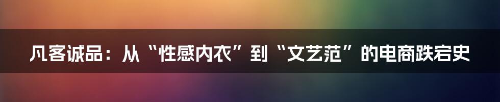 凡客诚品:从“性感内衣”到“文艺范”的电商跌宕史
