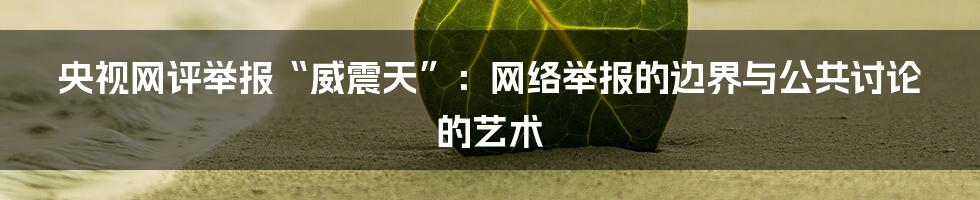 央视网评举报“威震天”:网络举报的边界与公共讨论的艺术