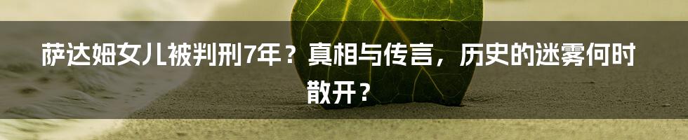 萨达姆女儿被判刑7年?真相与传言,历史的迷雾何时散开?