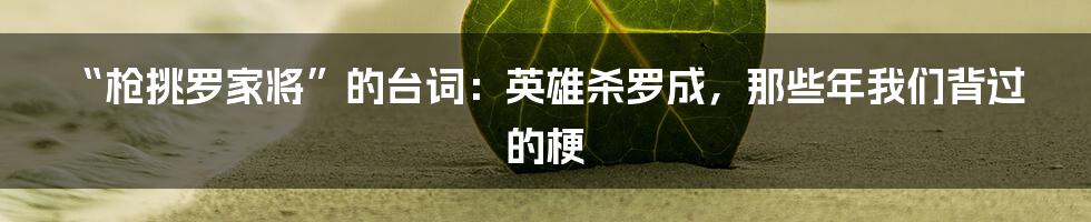 “枪挑罗家将”的台词：英雄杀罗成，那些年我们背过的梗