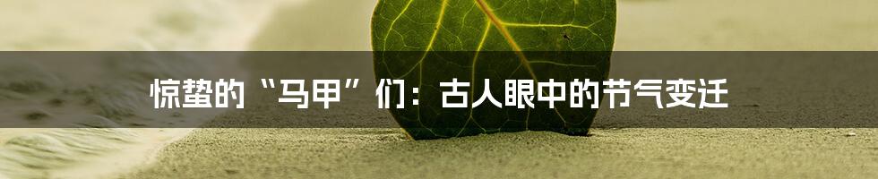 惊蛰的“马甲”们:古人眼中的节气变迁