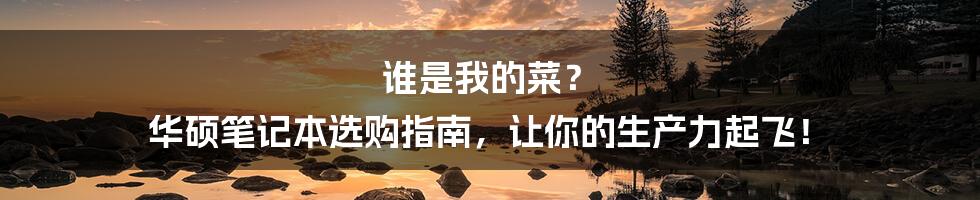 谁是我的菜? 华硕笔记本选购指南,让你的生产力起飞!