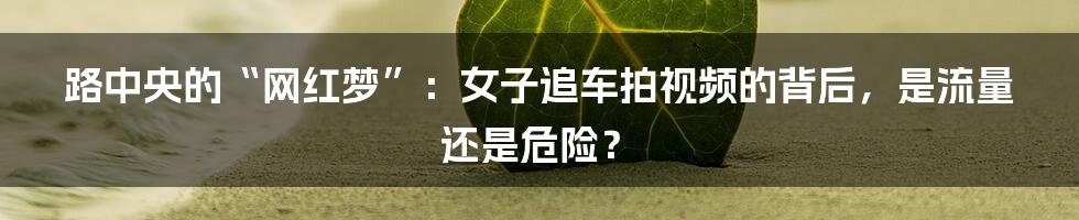 路中央的“网红梦”:女子追车拍视频的背后,是流量还是危险?
