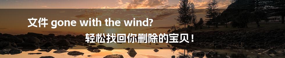 文件 gone with the wind? 轻松找回你删除的宝贝!