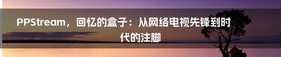 PPStream，回忆的盒子：从网络电视先锋到时代的注脚