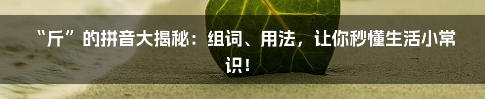 “斤”的拼音大揭秘:组词、用法,让你秒懂生活小常识!