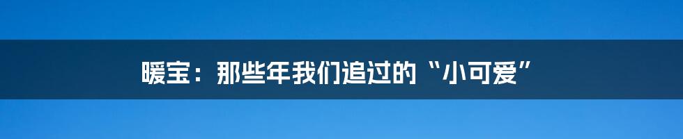 暖宝：那些年我们追过的“小可爱”