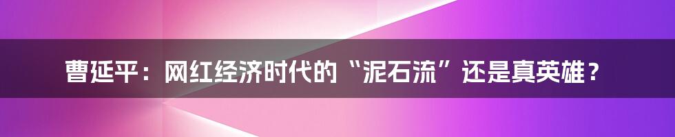 曹延平:网红经济时代的“泥石流”还是真英雄?