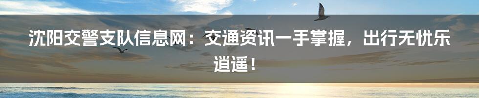 沈阳交警支队信息网:交通资讯一手掌握,出行无忧乐逍遥!