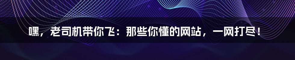 嘿,老司机带你飞:那些你懂的网站,一网打尽!