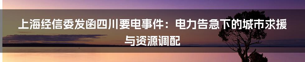 上海经信委发函四川要电事件：电力告急下的城市求援与资源调配