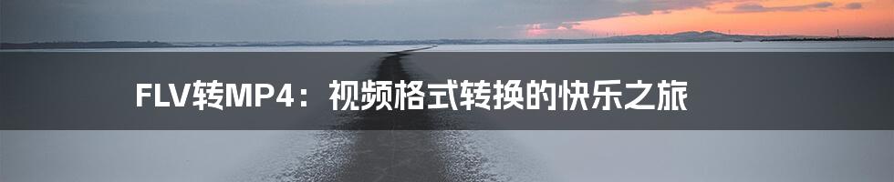 FLV转MP4：视频格式转换的快乐之旅