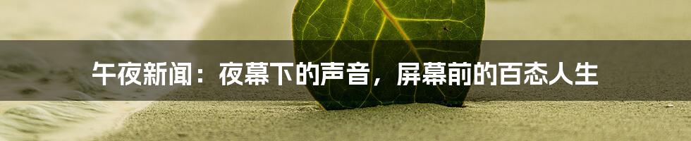 午夜新闻：夜幕下的声音，屏幕前的百态人生