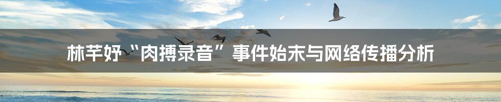 林芊妤“肉搏录音”事件始末与网络传播分析