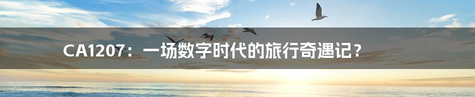 CA1207:一场数字时代的旅行奇遇记?