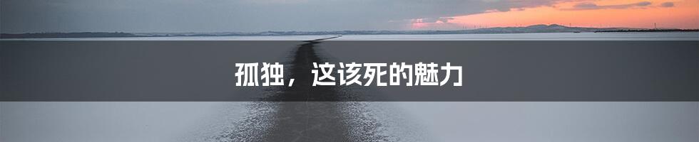 孤独,这该死的魅力