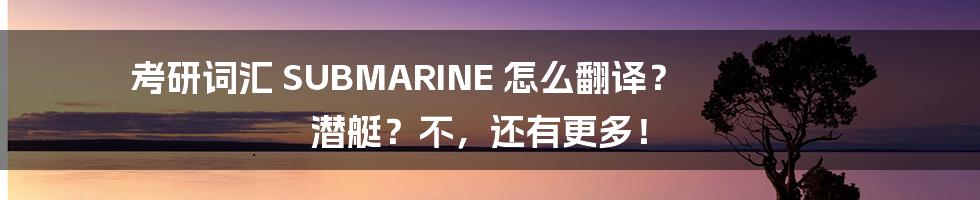 考研词汇 SUBMARINE 怎么翻译? 潜艇?不,还有更多!