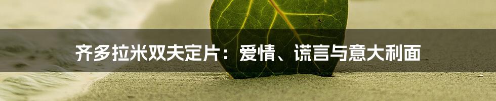 齐多拉米双夫定片：爱情、谎言与意大利面