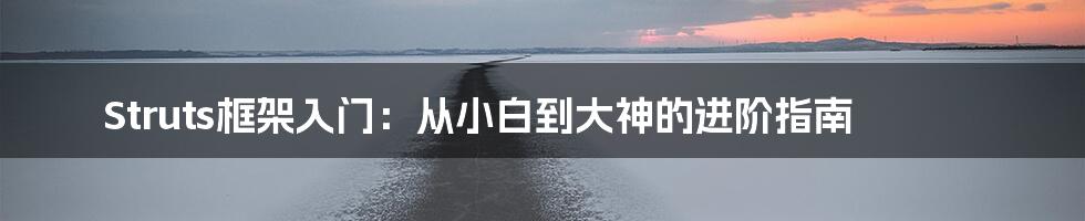 Struts框架入门：从小白到大神的进阶指南