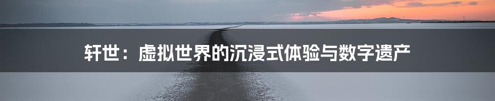 轩世:虚拟世界的沉浸式体验与数字遗产